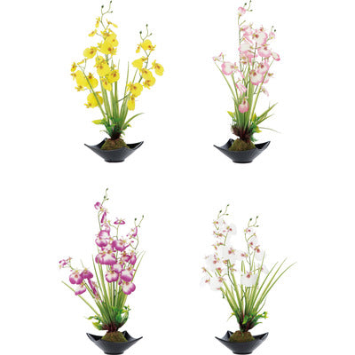 AD TREND VASO C/ORCHIDEA 12X12X44