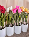 AD TREND VASO C/TULIPANI D15 H49