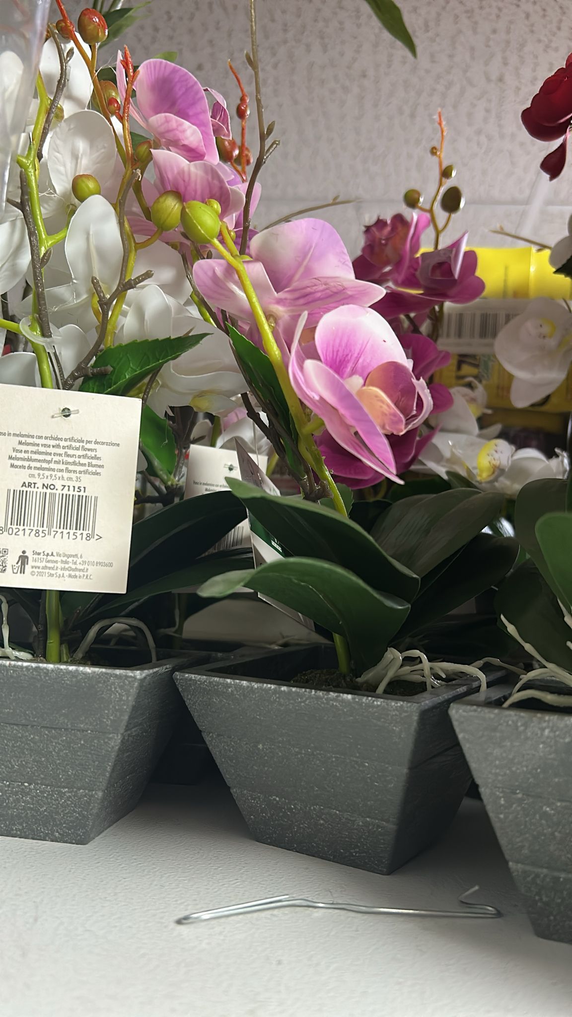 AD TREND VASO ORCHIDEA 10X10H35 71151