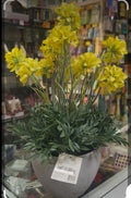 AD TREND VASO+FIORI DECORAZIONE D15