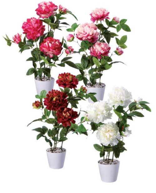 AD TREND VASO C/PEONIA D15H80
