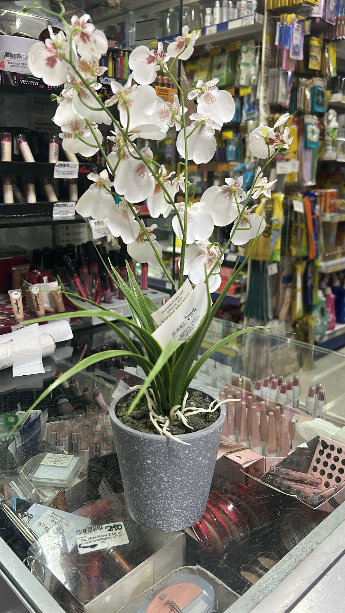 AD TREND VASO C/ORCHIDEA D11 H49