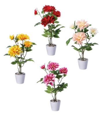 AD TREND VASO C/DALIA D15 H80